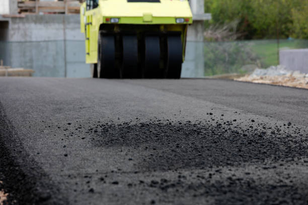 Best Driveway Pavers Near Me  in Forest Lake, IL