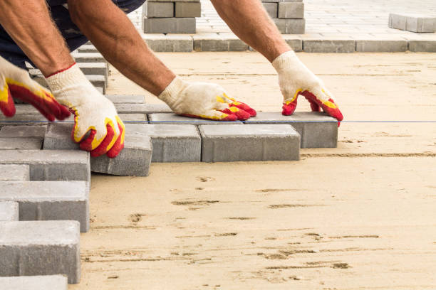 Best Best Driveway Pavers  in Forest Lake, IL