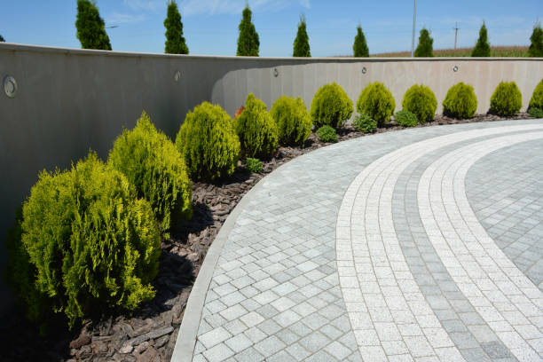 Best Residential Paver Driveway  in Forest Lake, IL