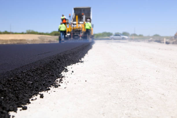 Best Driveway Pavers Near Me  in Forest Lake, IL